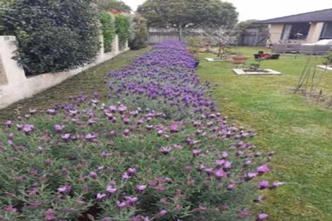 Photo of property in 16 Nautical Drive, Haruru, 0204