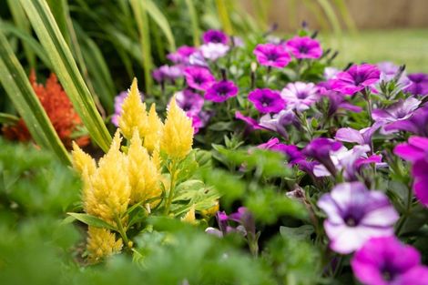 Photo of property in 10 Muirfield Rise, Te Kamo, Whangarei, 0112