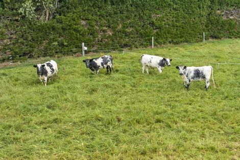 Photo of property in 181 Andersons Road, Leeston, 7682