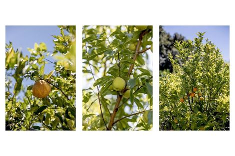 Photo of property in 7 Ratima Place, Whakatane, 3120