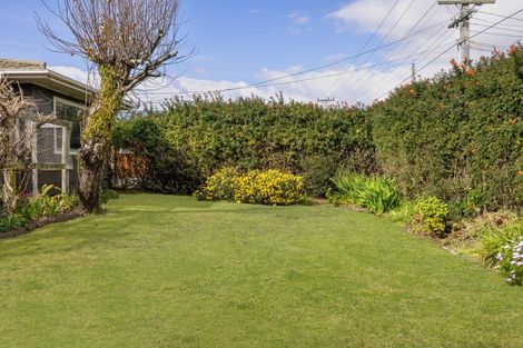 Photo of property in 13 Links Avenue, Mount Maunganui, 3116