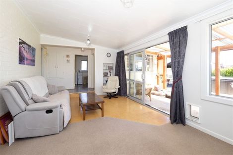 Photo of property in 48 Wellington Street, Hampstead, Ashburton, 7700