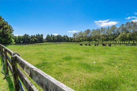 Photo of property in 857 Mclaren Falls Road, Omanawa, Tauranga, 3171