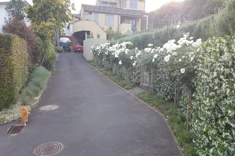 Photo of property in 52 Harvey Street, Tauranga South, Tauranga, 3112