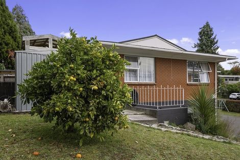 Photo of property in 61 Mcdowell Street, Springfield, Rotorua, 3015