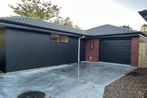 Photo of property in 4/41 Kenney Crescent, Fairfield, Hamilton, 3214