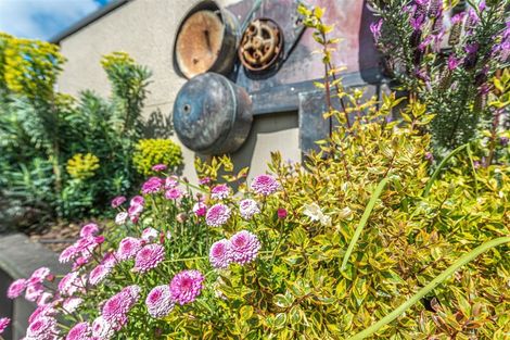 Photo of property in 56a Plymouth Street, Whanganui, 4500