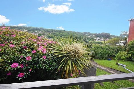 Photo of property in 419 South Road, Caversham, Dunedin, 9012