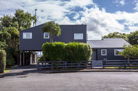 Photo of property in 6 Totara Place, Pahiatua, 4910