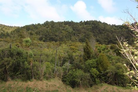 Photo of property in 63 Te Henga Road, Waitakere, Auckland, 0781