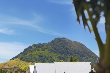 Photo of property in 75 Campbell Road, Mount Maunganui, 3116