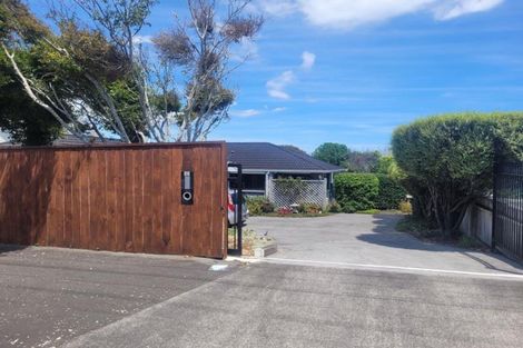 Photo of property in 52 Paynters Avenue, Strandon, New Plymouth, 4312