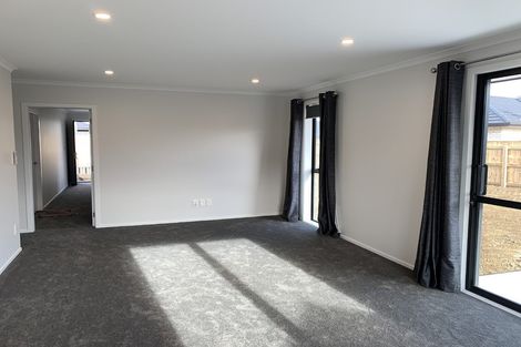 Photo of property in 98 Hinemoa Street, Levin, 5510