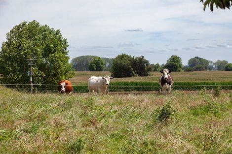 Photo of property in 162 Hinuera Road, Matamata, 3472