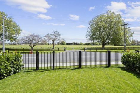 Photo of property in 5 Ruge Court, Cambridge, 3434