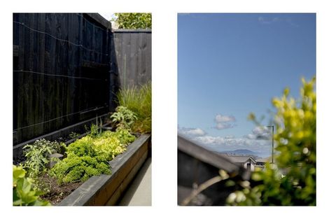 Photo of property in 73 Bert Wall Drive, Omokoroa, 3114