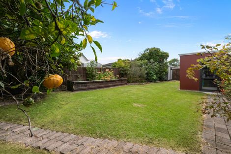Photo of property in 45b George Street, Morrinsville, 3300