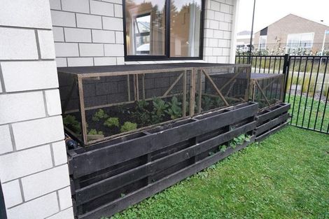 Photo of property in 10 Traverse Lane, Omokoroa, 3114