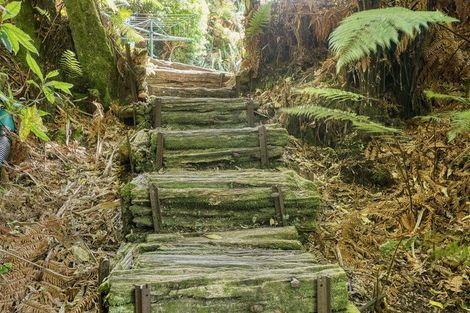 Photo of property in 226 Woodstock-rimu Road, Ruatapu, Hokitika, 7883