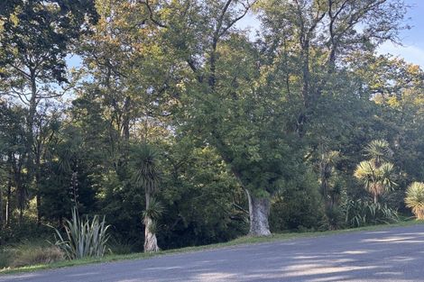 Photo of property in 293 Ashgrove Terrace, Somerfield, Christchurch, 8024