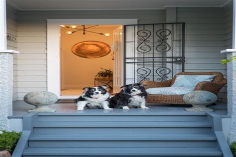 Photo of property in 1/8 Wernham Place, Northcote, Auckland, 0626