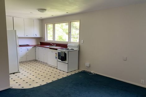 Photo of property in 36 Norway Street, Aro Valley, Wellington, 6012