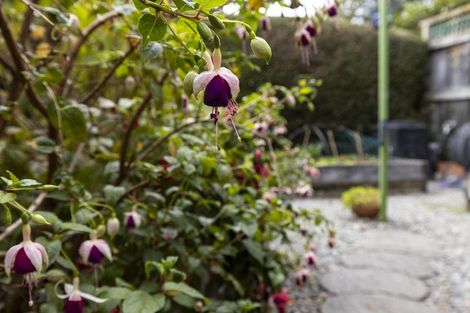 Photo of property in 49a George Street, Blenheim, 7201