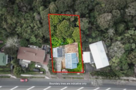 Photo of property in 60 Palomino Drive, Henderson, Auckland, 0612
