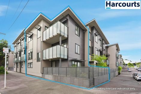 Photo of property in 10 Harold Street, Mount Eden, Auckland, 1024