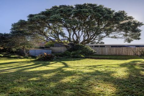 Photo of property in 28b Gordon Road, Mount Maunganui, 3116