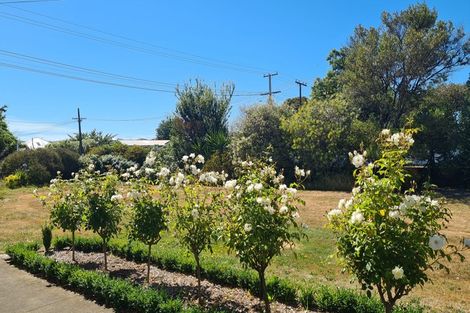 Photo of property in 13 Cambridge Road, Martinborough, 5711