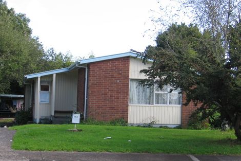 Photo of property in 113 Riverpark Crescent, Henderson, Auckland, 0610