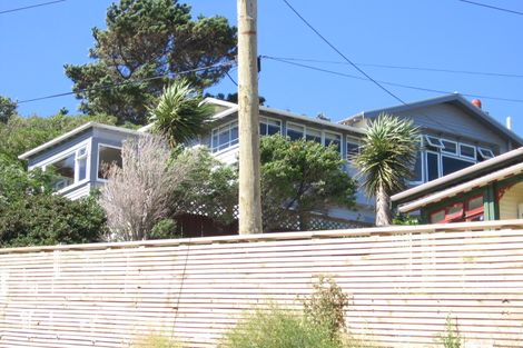 Photo of property in 133 Volga Street, Island Bay, Wellington, 6023