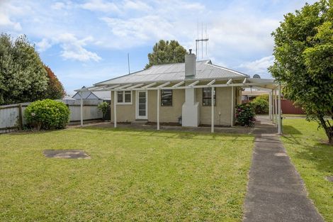 Photo of property in 191 Tiro Tiro Road, Levin, 5510