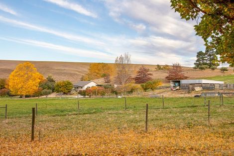 Photo of property in 192 Heaney Road, Cromwell, 9384