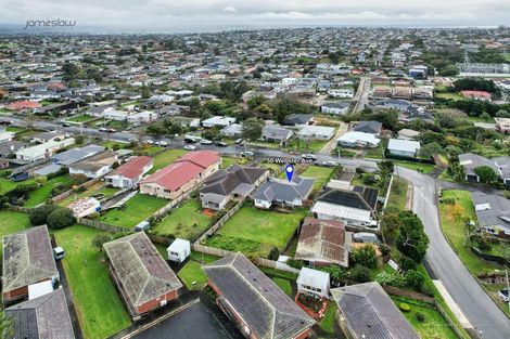 Photo of property in 50 Webster Avenue, Mount Roskill, Auckland, 1041