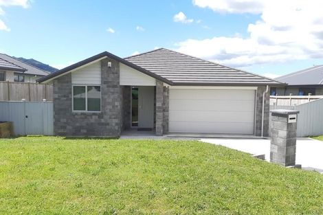Photo of property in 17 Gibboney Place, Pokeno, 2402