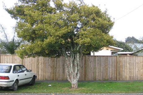 Photo of property in 1a Sayer Street, Frankton, Hamilton, 3204