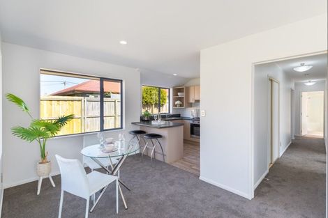 Photo of property in 17 Ballymena Drive, Belfast, Christchurch, 8051