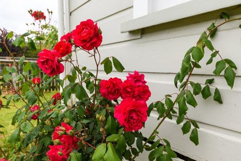 Photo of property in 24 Main Street, Marton, 4710