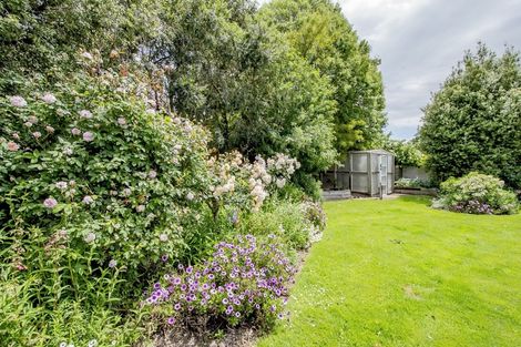 Photo of property in 25 Carston Street, Leeston, 7632