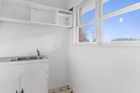 Photo of property in 101 Mansel Avenue, Hillcrest, Hamilton, 3216