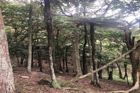 Photo of property in 504b Wairere Road, Maungaturoto, 0571