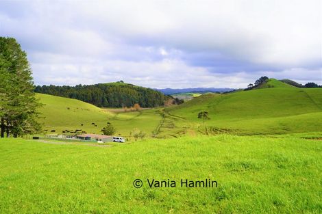 Photo of property in 533 Pataua South Road, Pataua South, Onerahi, 0192