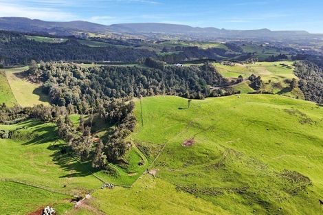 Photo of property in 687 Work Road, Whakamarama, Katikati, 3181