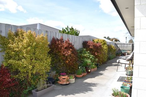 Photo of property in 15 Anne Street, Tinwald, Ashburton, 7700