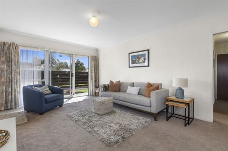 Photo of property in 16c Burrows Street, Tauranga South, Tauranga, 3112