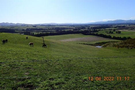 Photo of property in 103p Dalbeg Road, Balcairn, Amberley, 7482