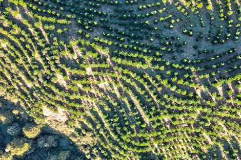 Photo of property in 751 Ongo Road, Hunterville, 4782