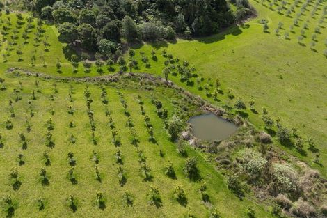 Photo of property in 163 Midgley Road, Mangonui, 0494